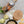 Golden Delicious Smoker Gift Pack