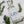 Just Juniper Gin 500ml